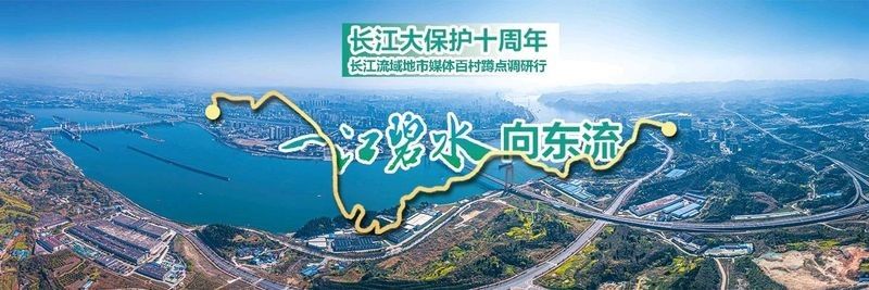 銅官山龍魚飼養(yǎng)技巧與注意事項與注意事項蘿蔓與書（銅官山龍魚的市場價格是多少？）