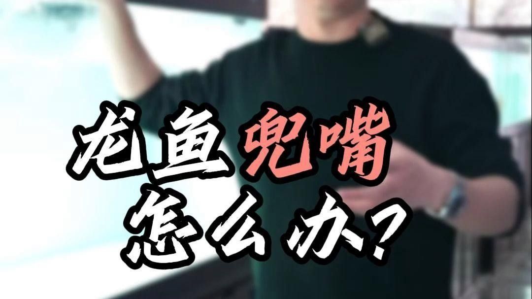 龍魚(yú)嘴巴合不上的原因揭秘龍魚(yú)嘴巴合不上的原因及解決方法（龍魚(yú)嘴巴合不上怎么辦）