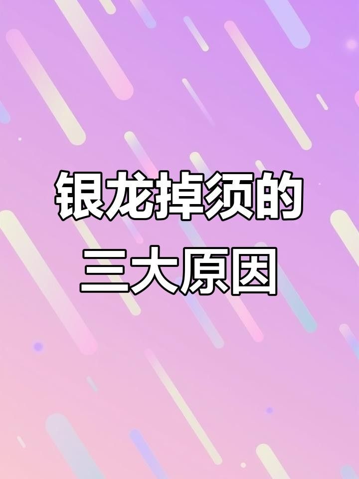 龍魚須子斷了還能長出來嗎（龍魚胡須斷了還能長出來嗎）