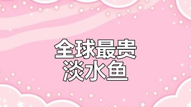云南最貴的魚，在云南省，一種名為“滇池金魚”的魚種（云南最貴的魚是什么魚）