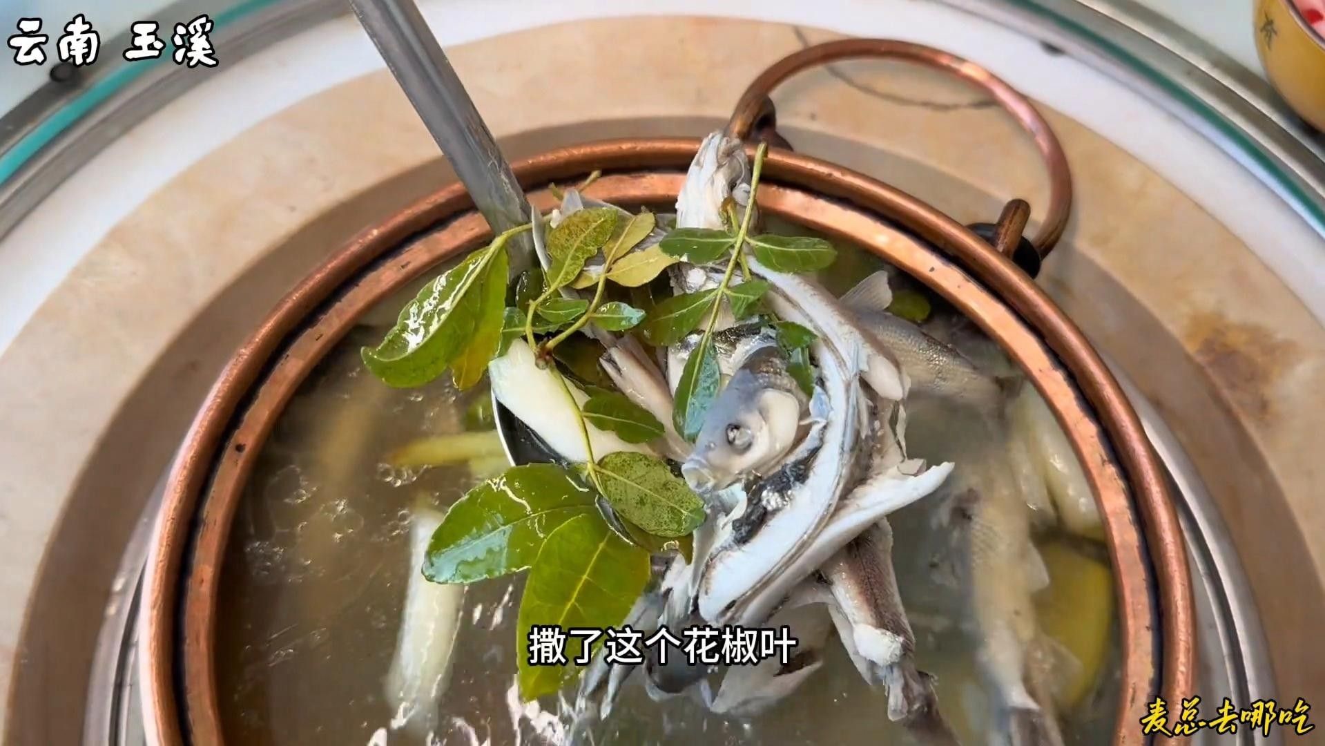 云南最貴的魚，在云南省，一種名為“滇池金魚”的魚種（云南最貴的魚是什么魚）
