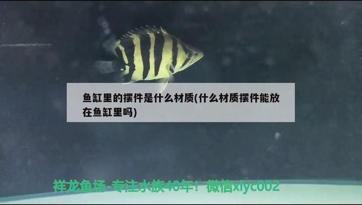 龍魚怕紅色嗎？（龍魚為什么怕紅色對龍魚有什么影響，紅色對龍魚有什么影響）