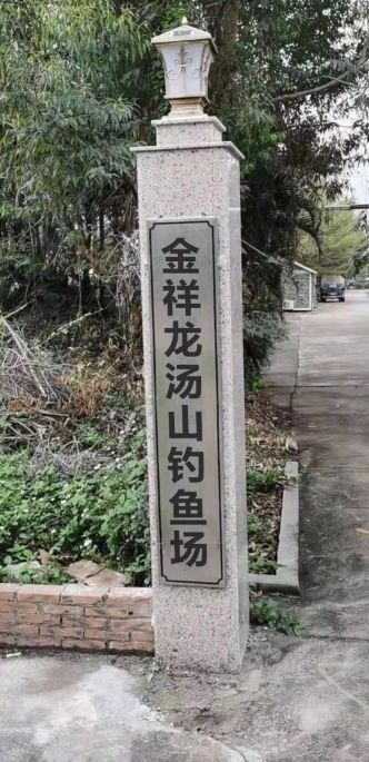 溧陽龍魚養殖有哪些技術給我推薦一些溧陽龍魚觀賞點（溧陽有哪些著名的龍魚觀賞點） 溧陽龍魚養殖有哪些技術給我推薦一些溧陽龍魚觀賞點（溧陽有哪些著名的龍魚觀賞點） 觀賞魚百科 第1張