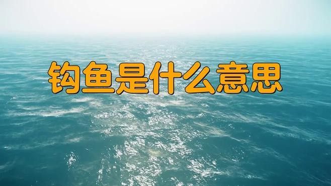 鉤魚是什么意思（勾魚是什么魚疆小援-防坑手冊鉤魚是什么意思）