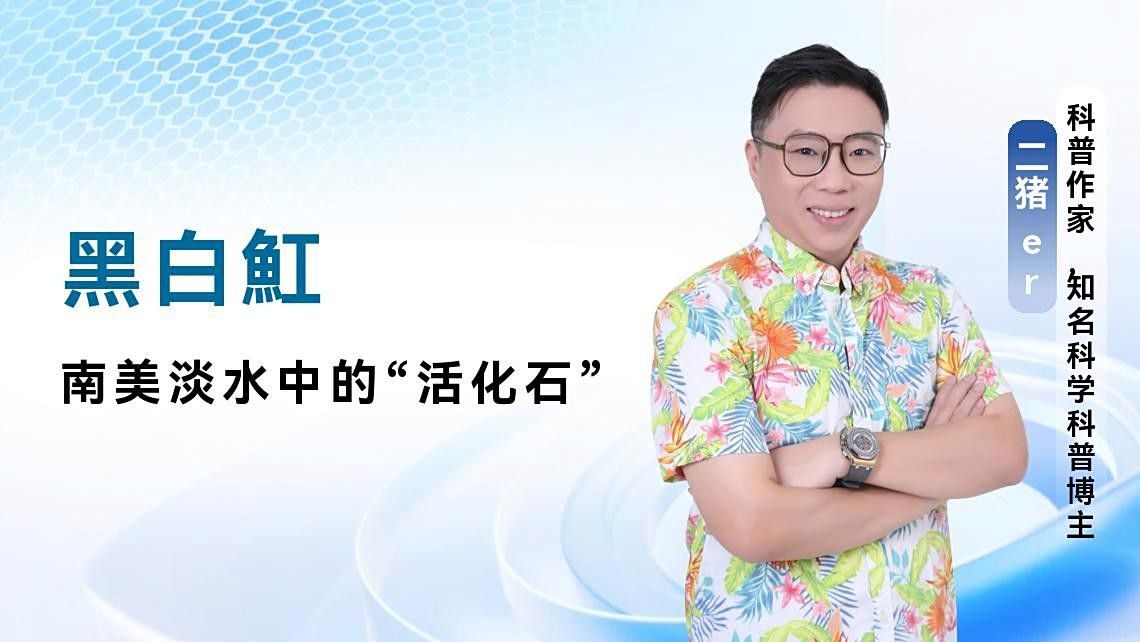 魟魚的種類有哪些？（zili魟魚品種介紹）