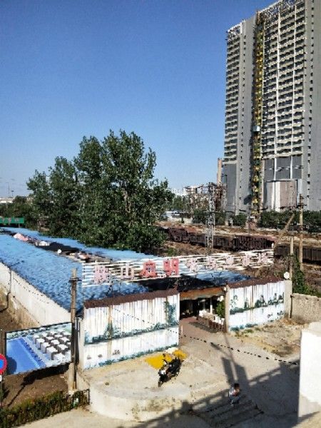 鞍山花鳥魚市場是鞍山市規模最大、人氣最高的花鳥魚蟲市場（鞍山市花鳥魚市場）