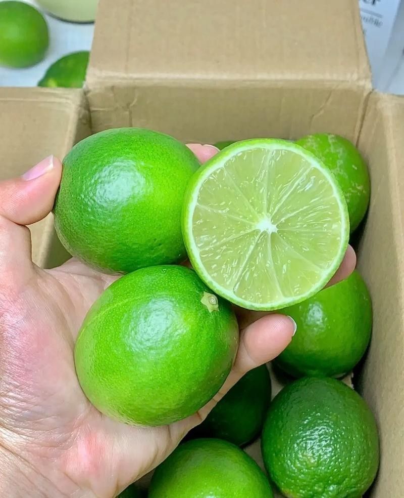 梅州市蕉嶺縣香水檸檬基地3.四季香水檸檬的特點（檸檬是一種多功能的水果）