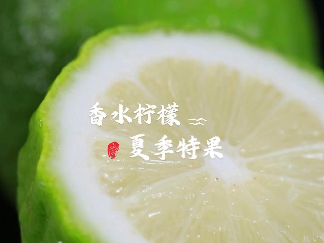 梅州市蕉嶺縣香水檸檬基地3.四季香水檸檬的特點（檸檬是一種多功能的水果）