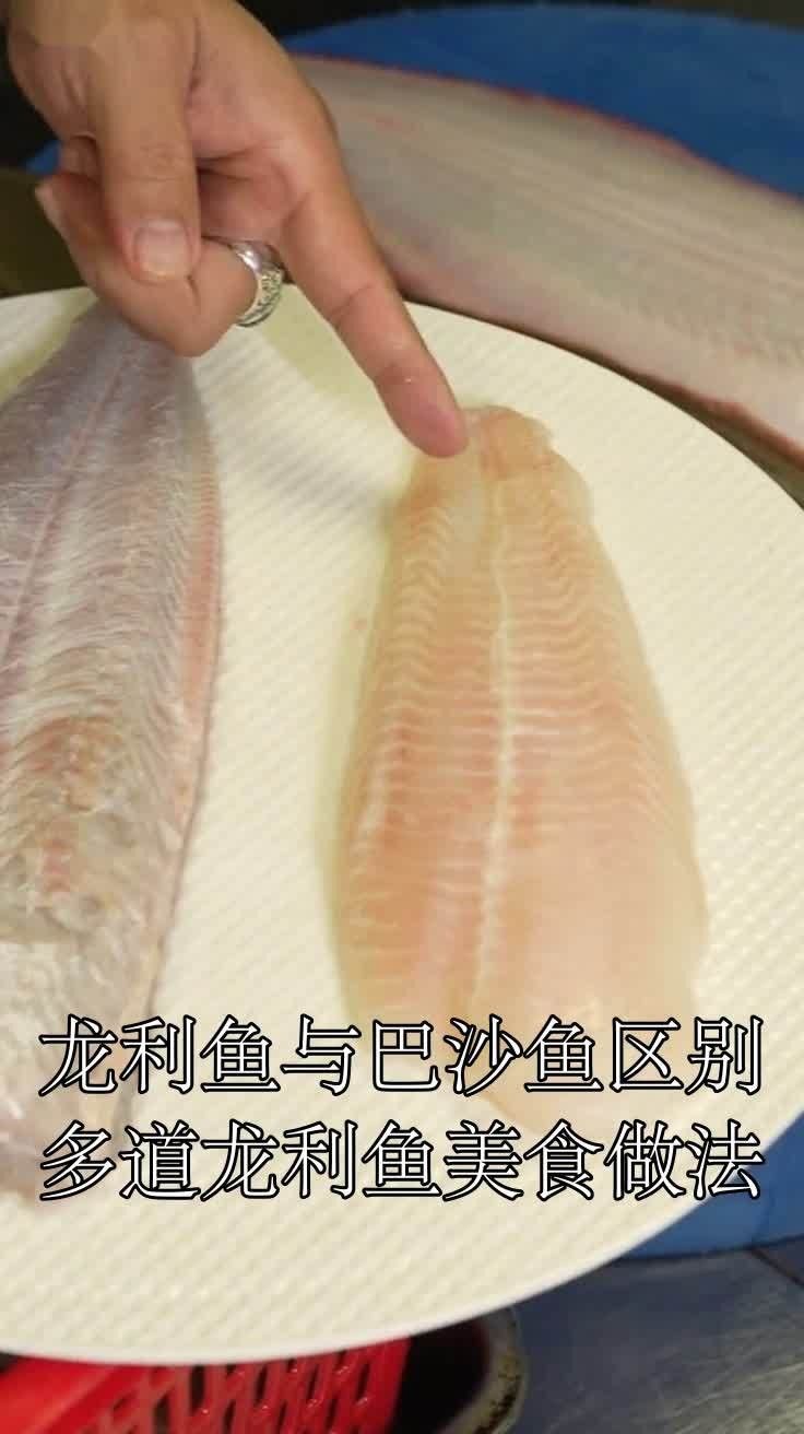 龍利魚與巴沙魚的區(qū)別,龍利魚和鯰魚哪個更有營養(yǎng)（龍利魚不是鯰魚，它們是兩種完全不同的魚類） 龍利魚與巴沙魚的區(qū)別,龍利魚和鯰魚哪個更有營養(yǎng)（龍利魚不是鯰魚，它們是兩種完全不同的魚類） 觀賞魚百科 第1張