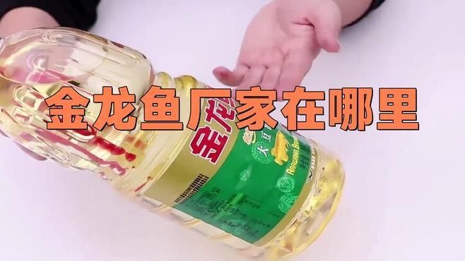 金龍魚生產基地一覽表（金龍魚廠家在哪里）