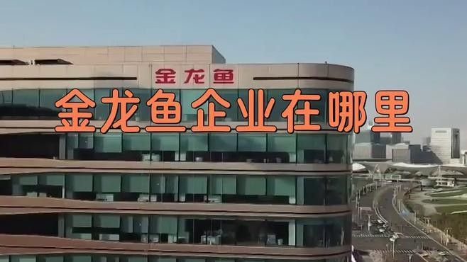 金龍魚生產基地一覽表（金龍魚廠家在哪里）