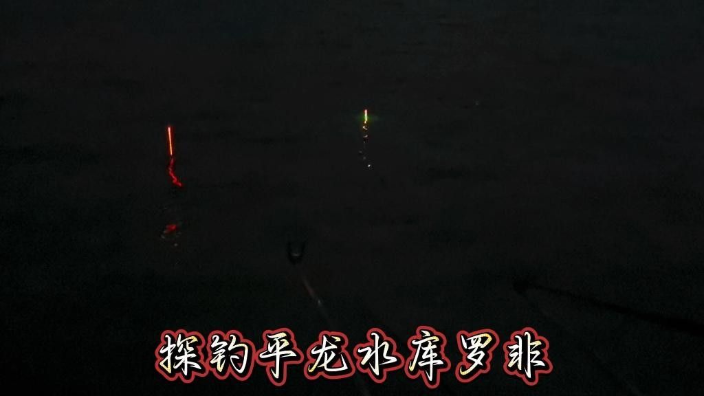 貴港平龍水庫禁止釣魚12，12，（關(guān)于平龍水庫釣魚的問題）