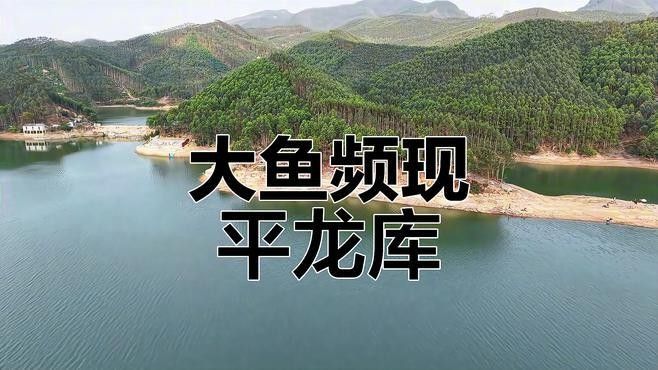 貴港平龍水庫禁止釣魚12，12，（關(guān)于平龍水庫釣魚的問題）