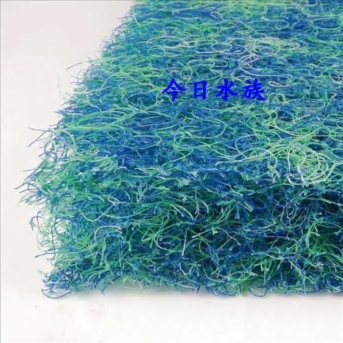 德系錦鯉最忌三種顏色命運航海家德系錦鯉最忌三種顏色（德國三色錦鯉最忌三種顏色命運航海家德系錦鯉最忌三種顏色）
