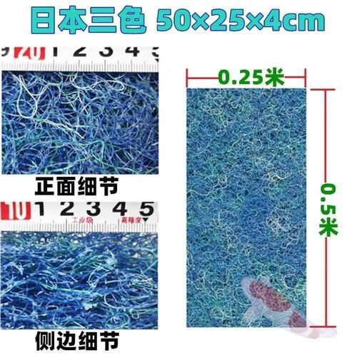 德系錦鯉最忌三種顏色命運航海家德系錦鯉最忌三種顏色（德國三色錦鯉最忌三種顏色命運航海家德系錦鯉最忌三種顏色）