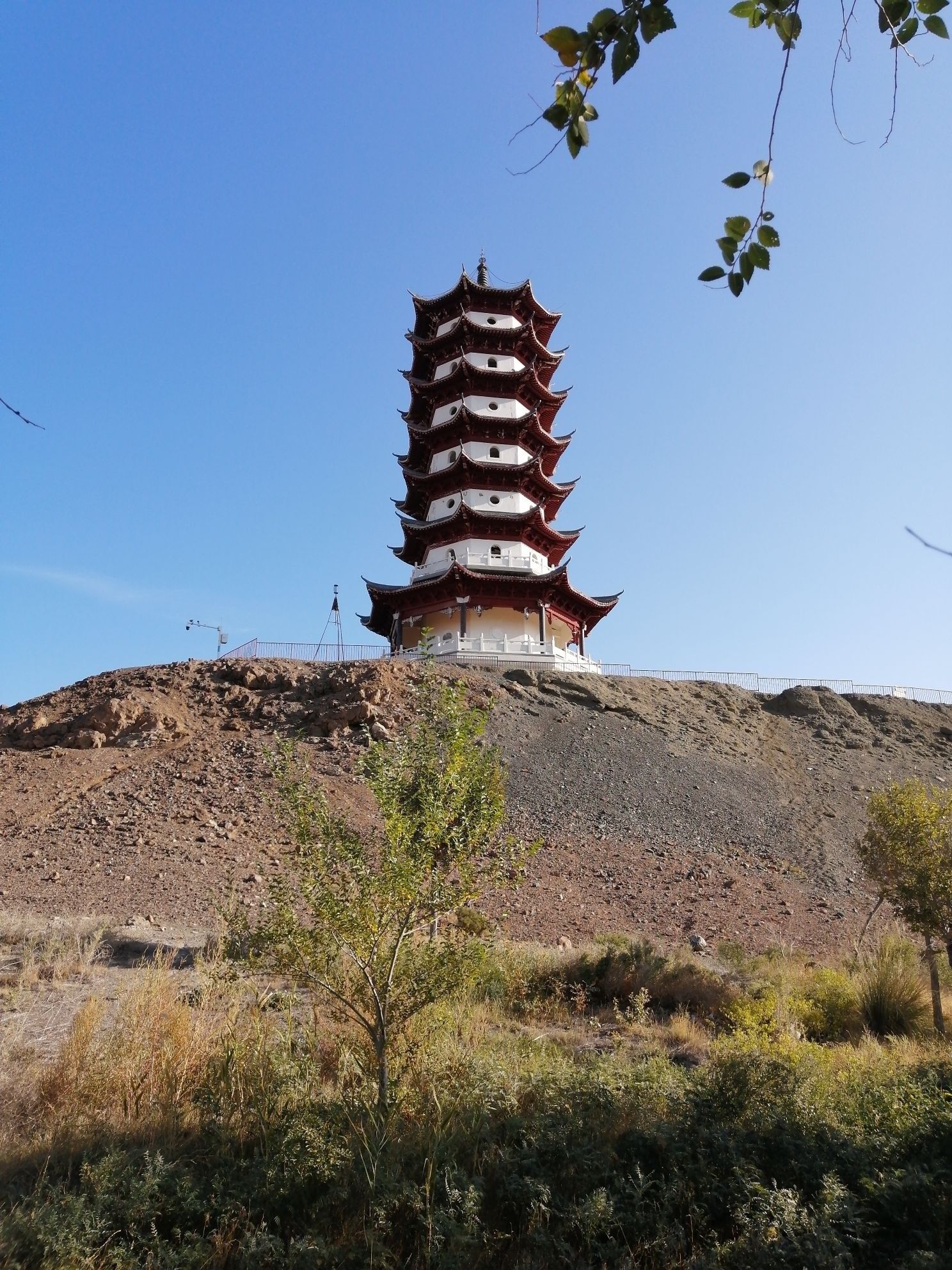 白堿灘金龍魚生態(tài)攝影的特點(diǎn)是什么？（新疆克拉瑪依市白堿灘區(qū)的“金龍魚”品牌或觀賞魚的具體需求）