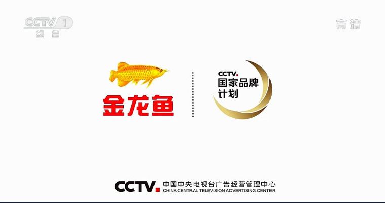 銀龍魚(yú)最佳飼養(yǎng)環(huán)境設(shè)置（關(guān)于銀龍魚(yú)飼養(yǎng)的問(wèn)題）