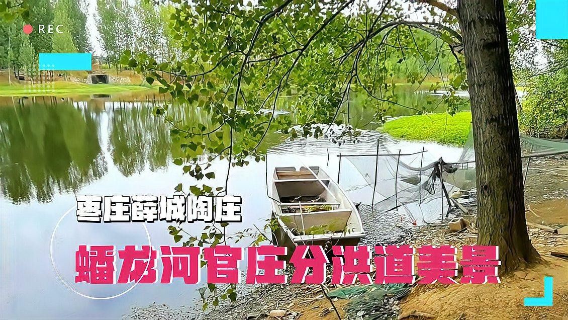 薛城蟠龍河釣魚的地方是一個集休閑、娛樂、娛樂、垂釣于一體的理想去處（薛城蟠龍河有哪些釣魚地點）