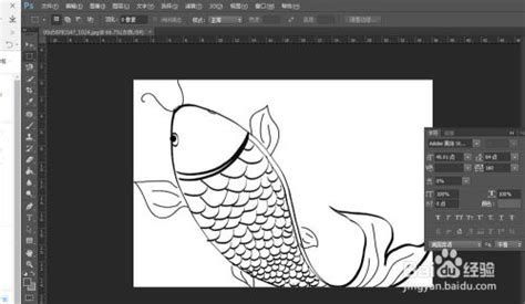 龍魚(yú)眼睛上方出現(xiàn)白線是怎么回事？（龍魚(yú)眼睛上方兩道白線是否會(huì)自行消失）
