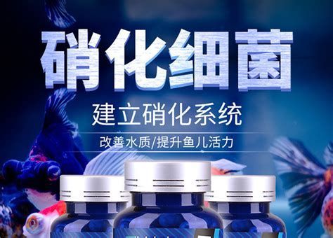 龍魚硝化細菌膠囊推薦品牌：硝化細菌膠囊推薦品牌（龍魚硝化細菌膠囊推薦） 龍魚硝化細菌膠囊推薦品牌：硝化細菌膠囊推薦品牌（龍魚硝化細菌膠囊推薦） 龍魚百科 第1張
