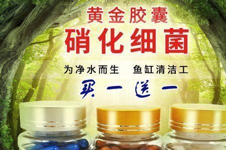 龍魚硝化細菌膠囊推薦品牌：硝化細菌膠囊推薦品牌（龍魚硝化細菌膠囊推薦） 龍魚硝化細菌膠囊推薦品牌：硝化細菌膠囊推薦品牌（龍魚硝化細菌膠囊推薦） 龍魚百科 第4張