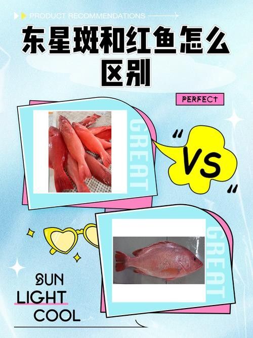 紅斑魚的圖片（紅斑魚圖片欣賞）