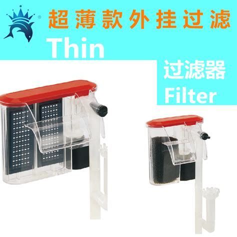 龍魚飼養所需主要設備詳解，幫助您打造舒適且美觀的家（龍魚飼養所需主要設備）