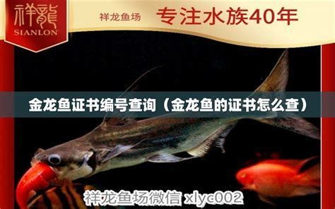 魚證書編號的真偽可以通過以下步驟進行判斷龍魚證書編號的真偽（如何判斷魚證書編號的真偽） 魚證書編號的真偽可以通過以下步驟進行判斷龍魚證書編號的真偽（如何判斷魚證書編號的真偽） 龍魚百科 第2張