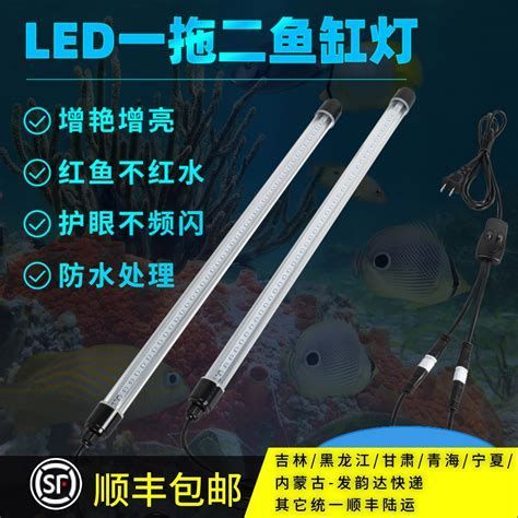 龍魚燈具選擇（亞洲龍魚魚缸燈適合多種水草和觀賞燈具類型及其特點(diǎn)）