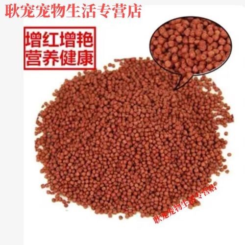 白龍魚的價格是多少？（白龍魚價格因地區(qū)、品種和大小而異，一般在100元至500元之間）