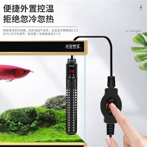 龍魚的水溫恢復時間(魚水溫恢復正常的時間取決于多種因素,龍魚水溫恢復正常狀態) 觀賞魚百科 第1張 龍魚的水溫恢復時間(魚水溫恢復正常的時間取決于多種因素,龍魚水溫恢復正常狀態) 龍魚的水溫恢復時間(魚水溫恢復正常的時間取決于多種因素,龍魚水溫恢復正常狀態) 觀賞魚百科 第1張