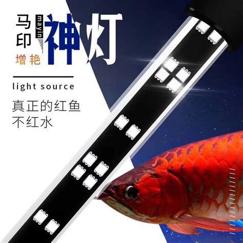 龍魚led燈怎么選？（龍魚led燈品牌及其特點：龍魚led燈品牌及其特點）