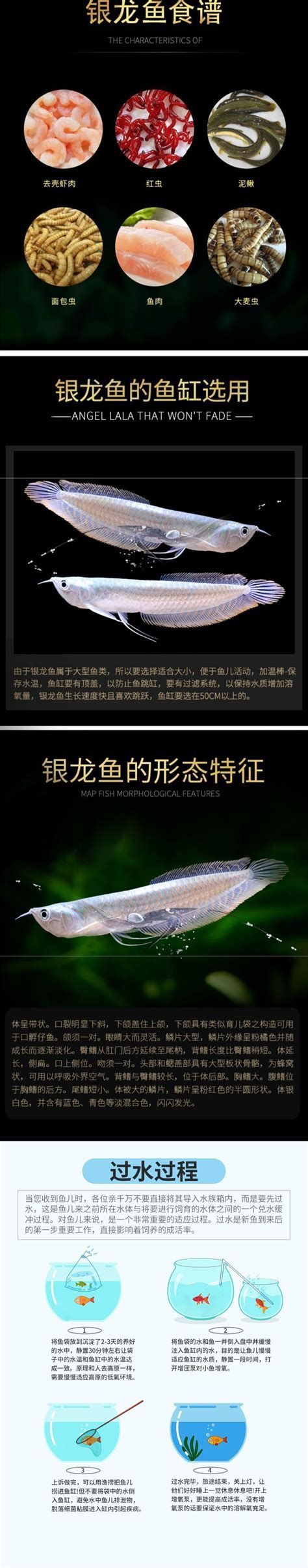 銀龍魚（白翅龍）防病寶典：如何預防“白膜”侵襲（1000字詳解銀龍魚（白翅龍）的防病寶典：如何預防“白膜”侵襲） 銀龍魚（白翅龍）防病寶典：如何預防“白膜”侵襲（1000字詳解銀龍魚（白翅龍）的防病寶典：如何預防“白膜”侵襲） 龍魚百科 第1張