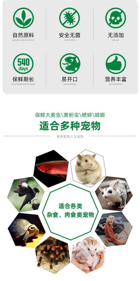 龍魚維生素喂養方法（詳解龍魚（asianarowana）是極其挑剔的觀賞魚） 龍魚維生素喂養方法（詳解龍魚（asianarowana）是極其挑剔的觀賞魚） 龍魚百科 第2張