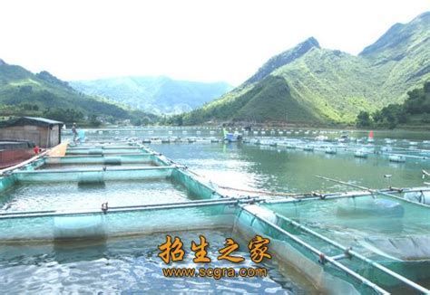 天津市北辰區(qū)雙口鎮(zhèn)后堡村龍魚養(yǎng)殖基地（華北地區(qū)規(guī)模最大的觀賞魚養(yǎng)殖基地之一）