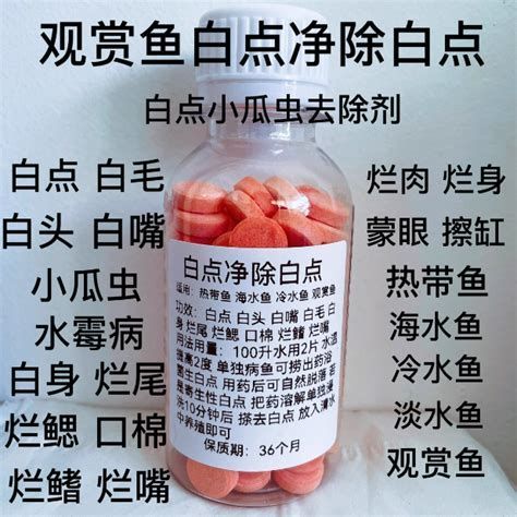 龍魚長白毛后多久能好轉，龍魚長白毛后多久會好轉，龍魚健康狀態（龍魚長白毛后多久會好轉，龍魚健康狀態）