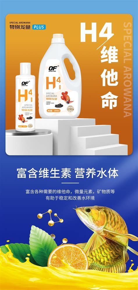養什么龍魚好看又漂亮，養龍魚的注意事項