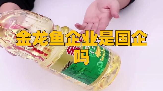海原金龍魚是否屬于雜牌子（海原金龍魚是否為雜牌子） 海原金龍魚是否屬于雜牌子（海原金龍魚是否為雜牌子） 觀賞魚百科 第5張