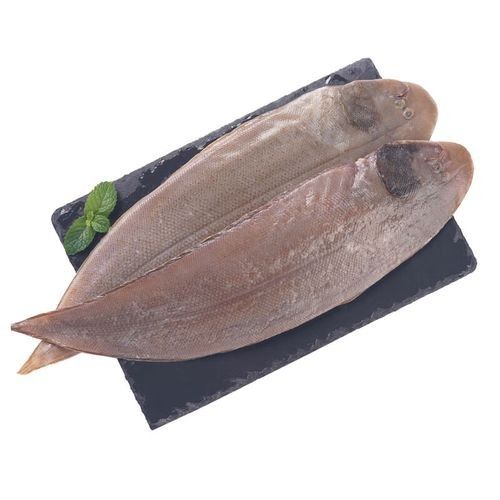 龍利魚，你吃過嗎？（潮汕龍利魚|帶你吃遍100道潮汕小海鮮） 龍利魚，你吃過嗎？（潮汕龍利魚|帶你吃遍100道潮汕小海鮮） 觀賞魚百科 第6張