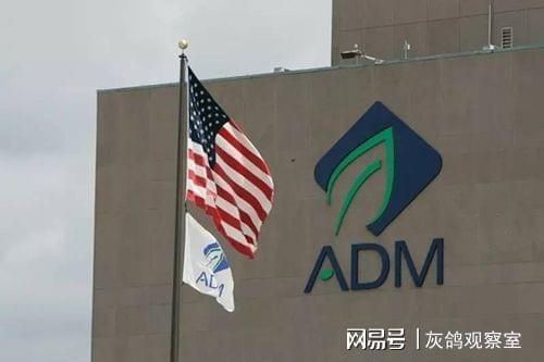 如何提升龍魚游動姿態（如何訓練龍魚在水中的特定位置游動，以改善其游動姿態） 如何提升龍魚游動姿態（如何訓練龍魚在水中的特定位置游動，以改善其游動姿態） 觀賞魚百科 第1張