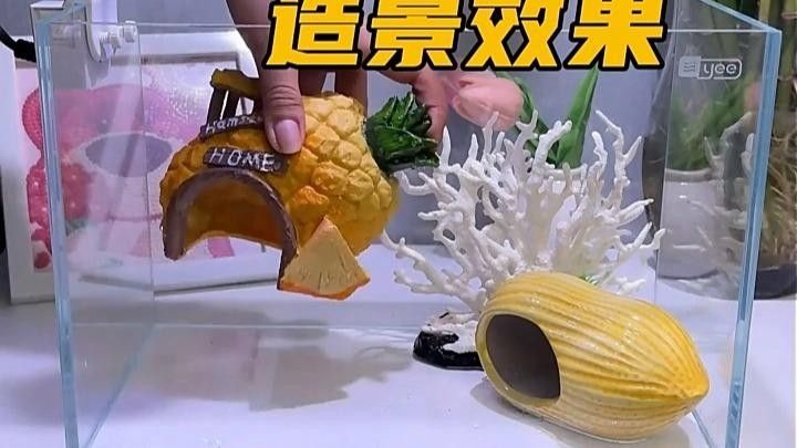 yee品牌有哪些系列？yee魚缸的價格范圍是多少？（yee你的水族世界品牌yee品牌介紹）