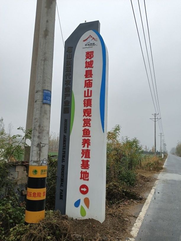 郯城龍魚的飼養技術（山東省郯城縣龍魚養殖技術）
