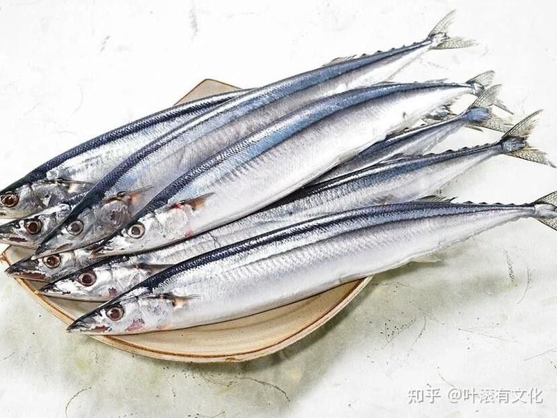 福建男子釣魚發現野生龍魚，網友：壓根不值錢貍貓之一（淮陽龍魚有哪些特征？）