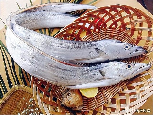 福建男子釣魚發現野生龍魚，網友：壓根不值錢貍貓之一（淮陽龍魚有哪些特征？）