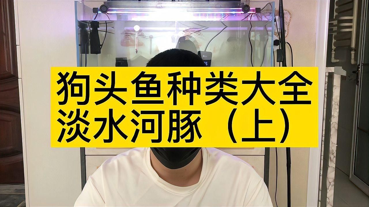 狗頭魚（淡水河豚）常見品種及種介紹（頭魚大全是一本介紹各種狗頭魚的圖書，旨在為讀者提供全面信息）