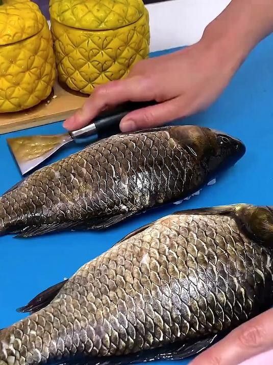 魚鱗刮不干凈怎么辦（刮魚鱗只需一個塑料袋,不臟手不飛濺,方便實用好看視頻）