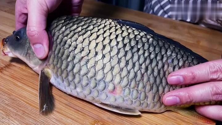 魚鱗刮不干凈怎么辦（刮魚鱗只需一個塑料袋,不臟手不飛濺,方便實用好看視頻）