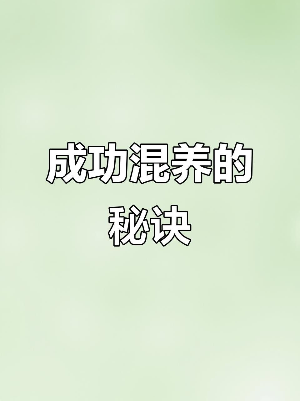 龍魚苗混養最忌三種魚（10cm龍魚苗在養殖過程中最忌諱的三種魚類）