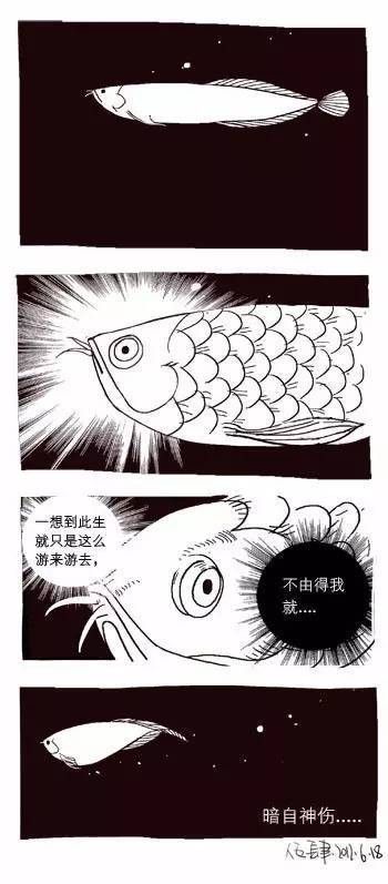 龍魚頻繁張嘴是什么病（魚嘴巴一直張開可能是由于多種原因造成的，養(yǎng)魚小竅門大公開）