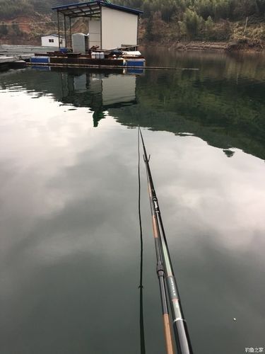 安徽寧國青龍灣水庫禁止垂釣，但寧國市及周邊仍有免費地點（關于寧國青龍灣釣魚的相關信息）